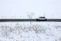 اولین بارش برف در اردبیل