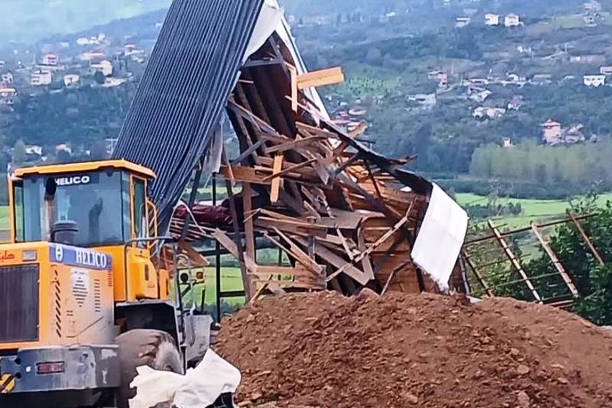 قلع و قمع در بابل