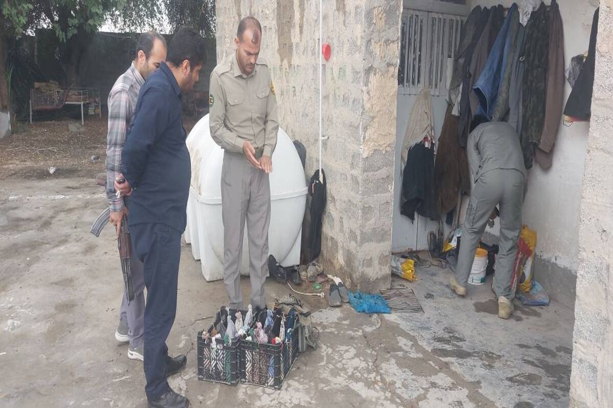 قاچاق بلدرچین