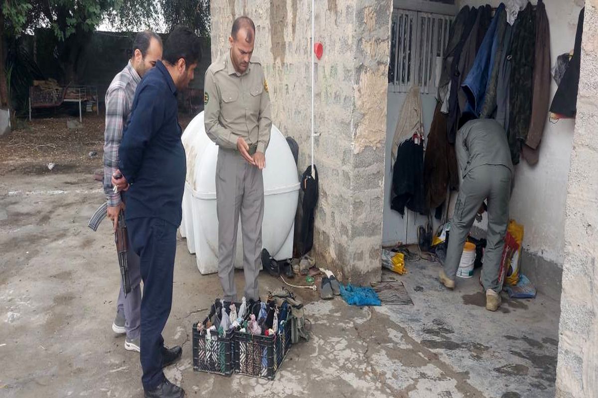 قاچاق بلدرچین