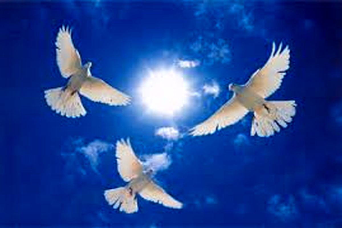 اصفهان- زندانی