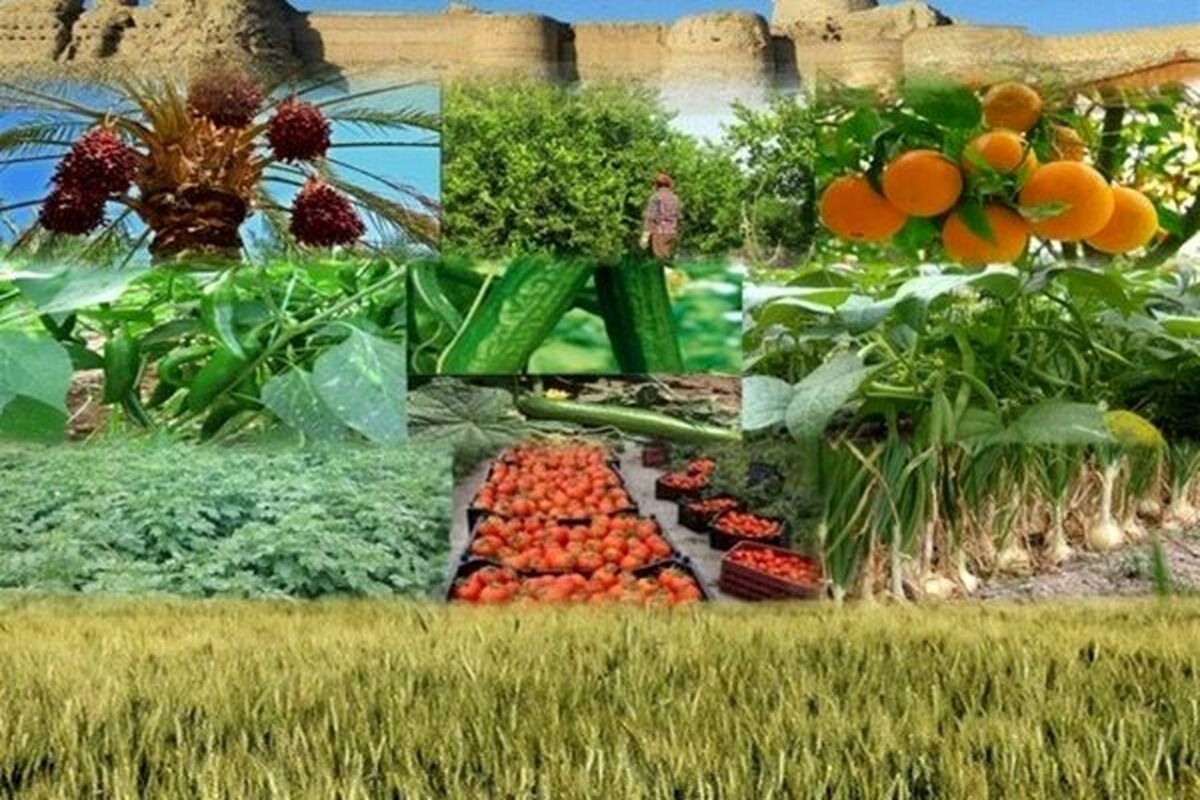 پروژه کشاورزی