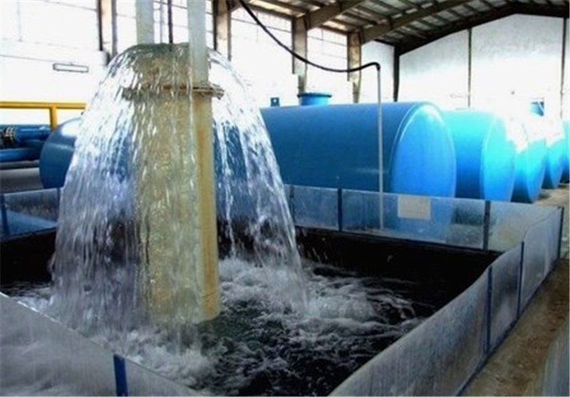 تقویت کیفیت آب شرب بیش از دو هزار خانوار روستایی شهرستان شفت
