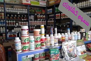 پلمپ فروشگاه های غیر مجاز سموم در همدان