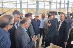 بازدید معاون رئیس‌جمهور از تصفیه‌خانه فاضلاب بندرعباس