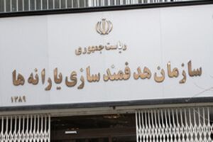 محقق شدن ۵۳ درصد منابع هدفمندی یارانه‌ها در سال جاری