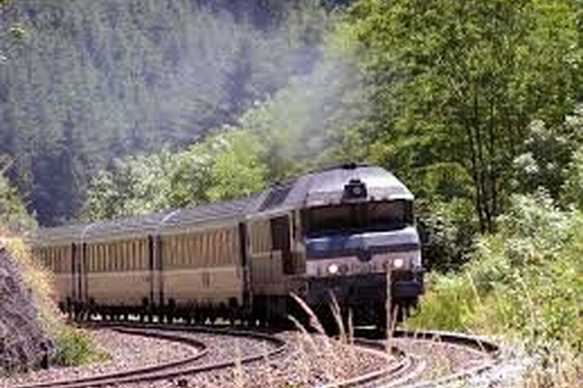 Ms09sFhUVhGK