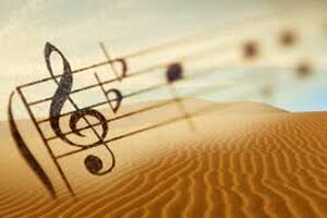 اشعار و موسیقی سطحی سلیقه مردم را در شعر و آهنگ خراب می کند
