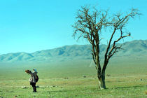 فیلم سینمایی «مسخ در مسلخ»  راهی اسپانیا می‌شود