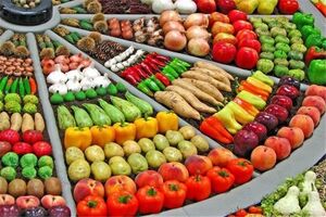 اجرای  مبارزه بیولوژیک در بیش از 23هزار هکتار از مزارع کشاورزی