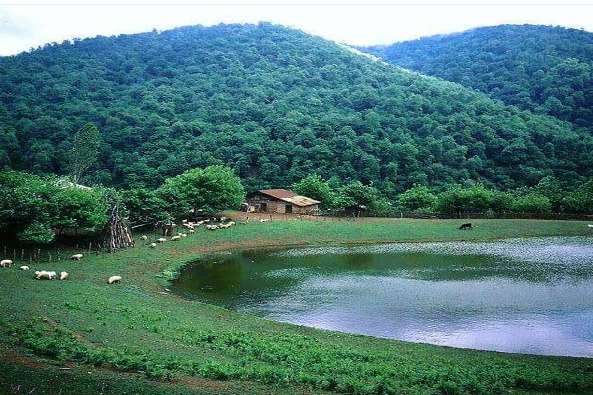 ساماندهی دریاچه خورگام بره سر