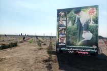 ۲۵ میلیون نهال در قالب پویش "سرو ایران"همزمان با هفته منابع طبیعی توزیع شد