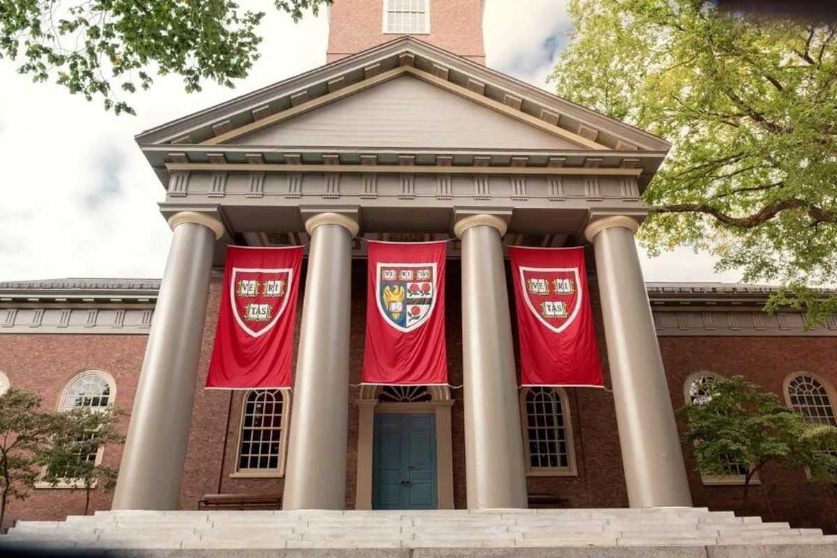 دانشگاه هاروارد