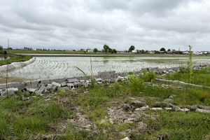 ۳۵۰ میلیاردی اراضی کشاورزی در محمودآباد رهاسازی شد