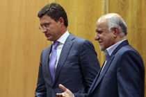 دیدار وزیر انرژی روسیه و وزیرنفت ایران  