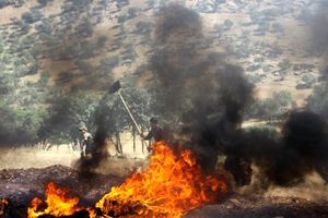 بازهم آتش‌سوزی در جنگل های لرستان؛ این بار در دلفان