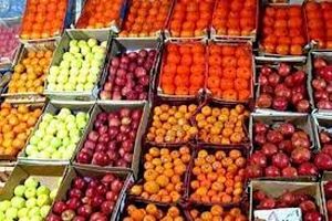 ۳ غرفه عرضه مستقیم کالا در ایلام راه‌اندازی شد