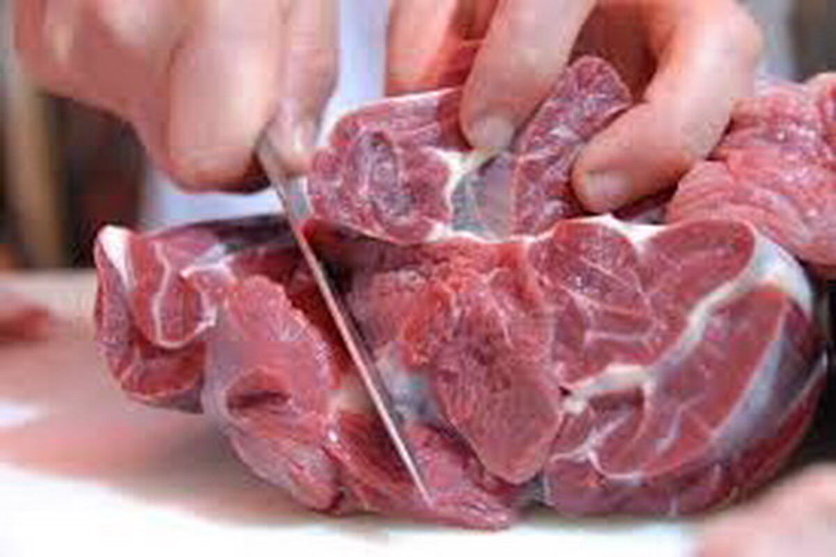 گوشت گران است