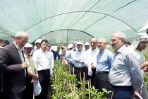 بازدید مدیرعامل بانک سپه از واحد کشت و صنعت در منطقه صفر مرزی