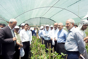 بازدید مدیرعامل بانک سپه از واحد کشت و صنعت در منطقه صفر مرزی