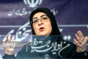 سخنگوی دولت از روی نقشه، شبهات مربوط به کریدور زنگزور را پاسخ داد! + فیلم