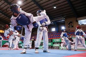  شهرام الله آبادی رییس هیئت تکواندو استان اصفهان شد