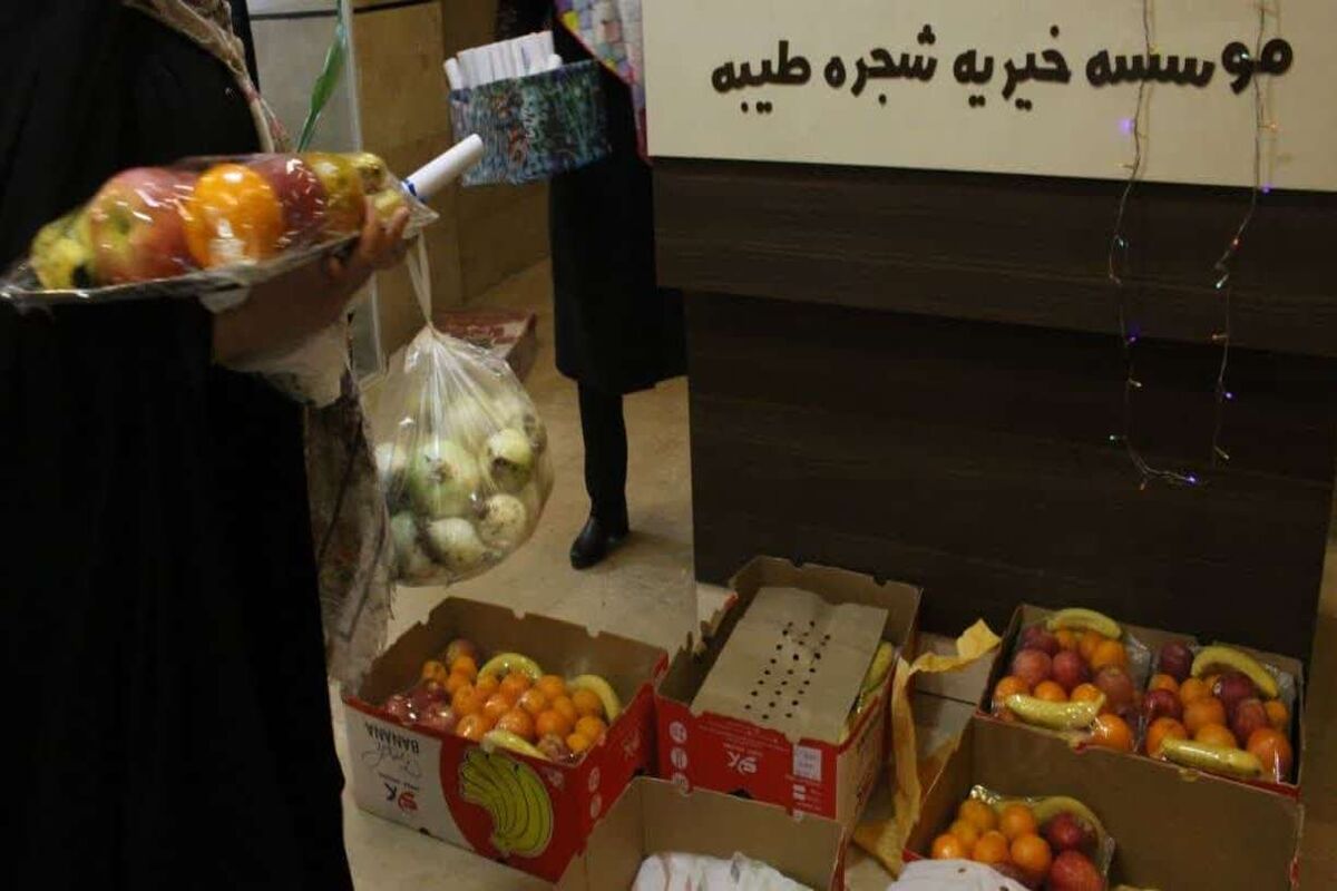 خیریه شجره طیبه