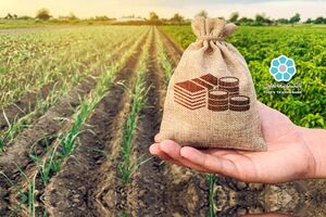 بانک توسعه تعاون 24 هزار و 500 میلیارد ریال تسهیلات اشتغال پایدار روستایی پرداخت کرد