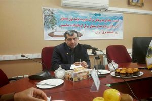 رشد 15 درصدی نیروگاه برق بیستون و اسلام‌آبادغرب در تولید انرژی خالص