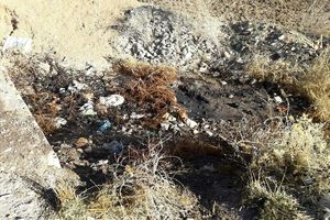 تخلیه پسماند میعانات گازی توسط کامیونی ناشناس در روستای قلانجه