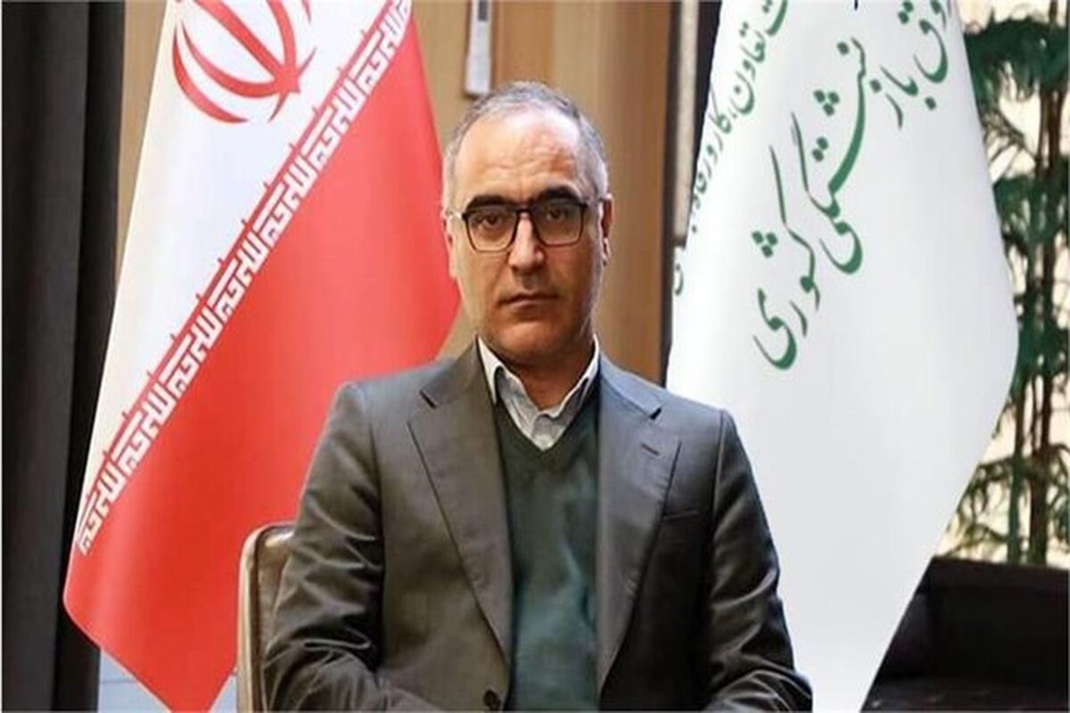 مدیرعامل صندوق بازنشستگی کشوری