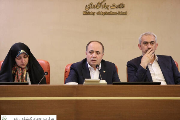 مسئولیت‌های نظارتی در یک ساختار منسجم سامان‌دهی شود