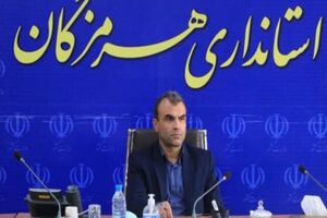 تمرکز هرمزگان بر تکمیل حلقه‌های زنجیره ارزش با تسهیلات هدفمند
