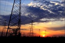 برنامه ریزی صانیر برای حضور در بازارهای آفریقایی