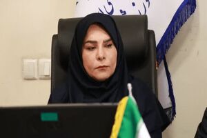 ۶۰ هزار بیمه‌ شده در رشته‌های رزمی کشور فعالیت می‌کنند