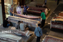 همایش روز ملی فرش در کاشان