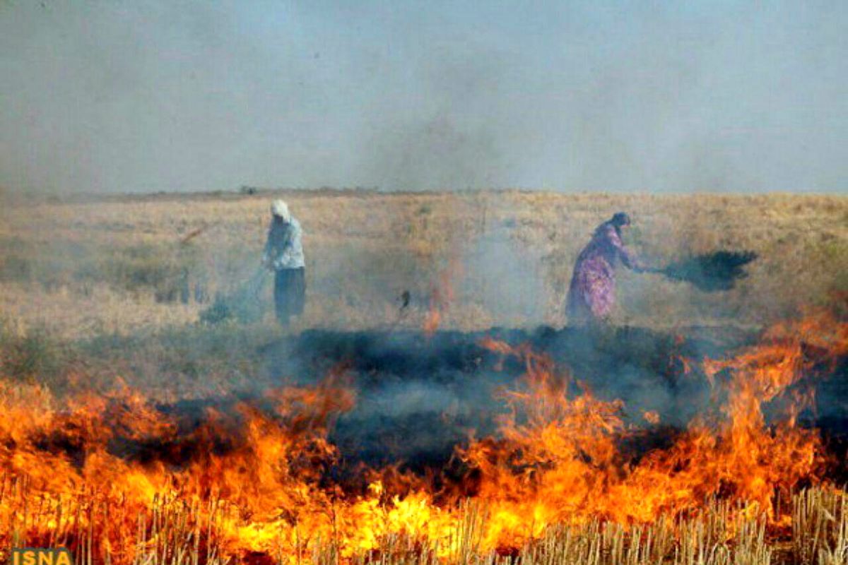 آتش زدن بقایای زمین کشاورزی