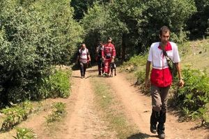 پیکر بی جان پیرمرد ۷۸ ساله مفقود شده پیدا شد