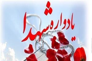 برگزاری یادواره شهدای منطقه امامزاده ابراهیم(ع) در قم