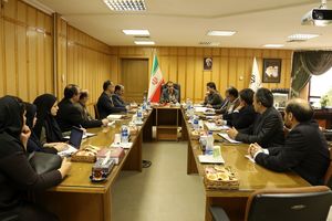 ضرورت تسریع در پرداخت تسهیلات اشتغال زایی روستایی