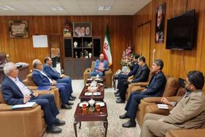 زمینه های توسعه تعاونی‌ها در ایلام فراهم می شود