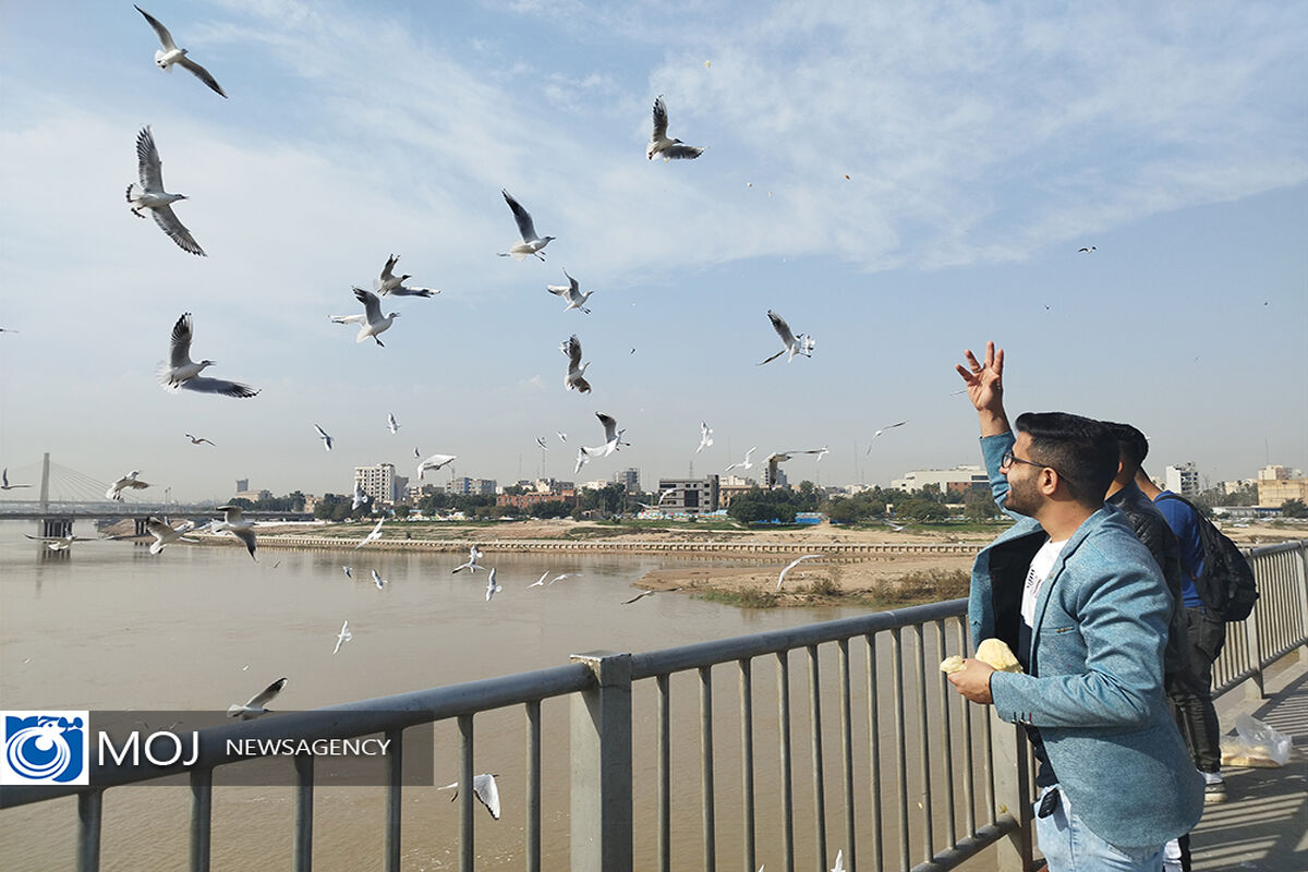 پرندگان مهاجر خوزستان