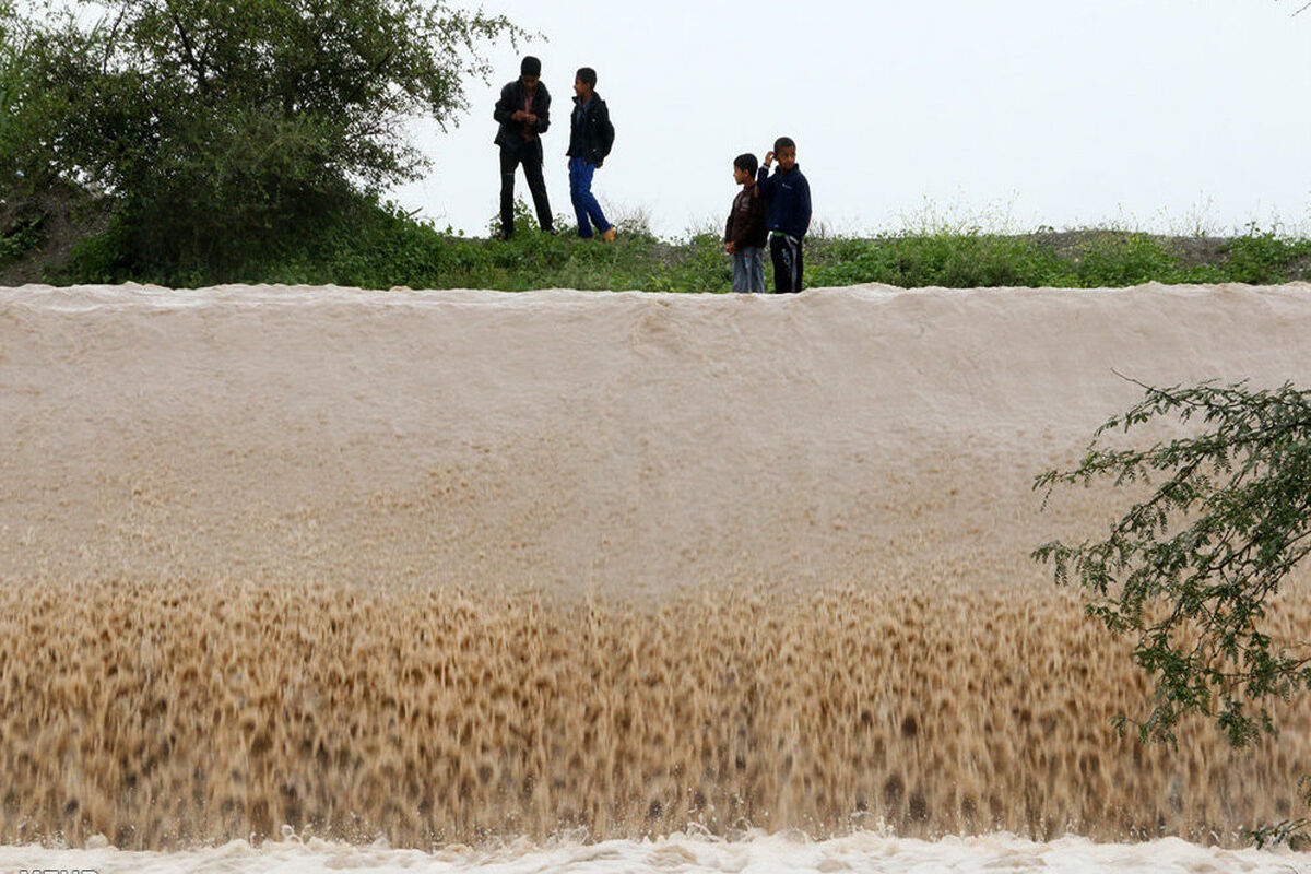 سیل