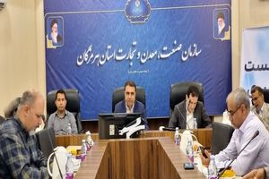 رتبه دوم کشور در سرمایه گذاری در اختیار هرمزگان