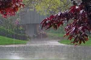 پیش بینی بارش باران و برف تا سه روز آینده در مازندران