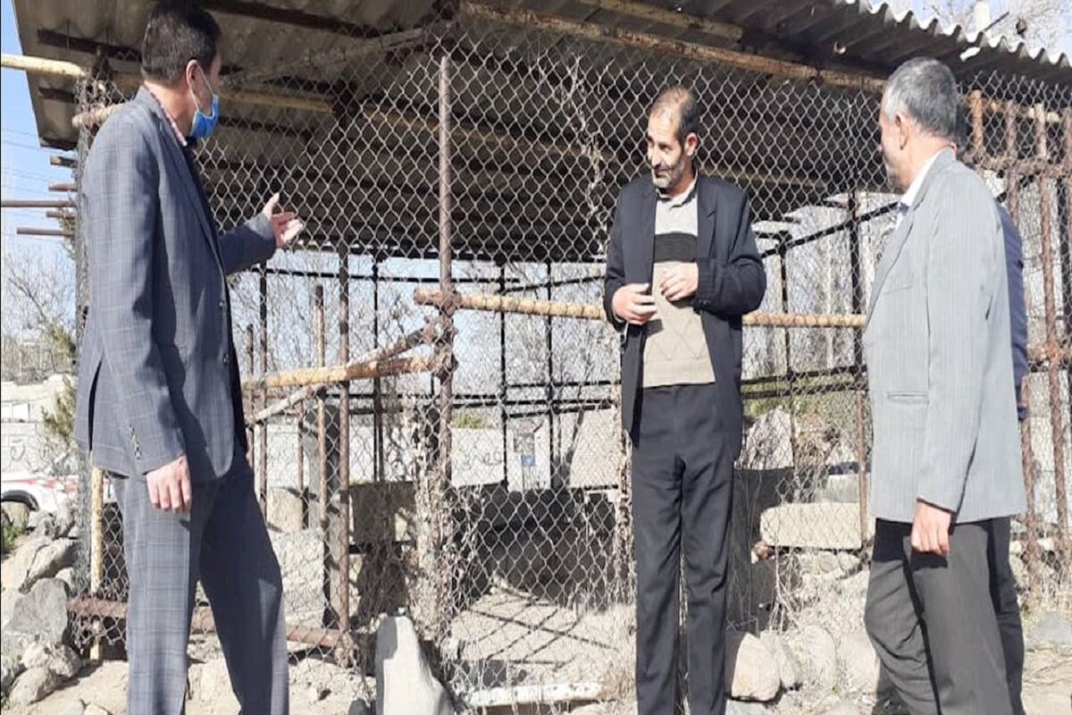 موزه سنگ