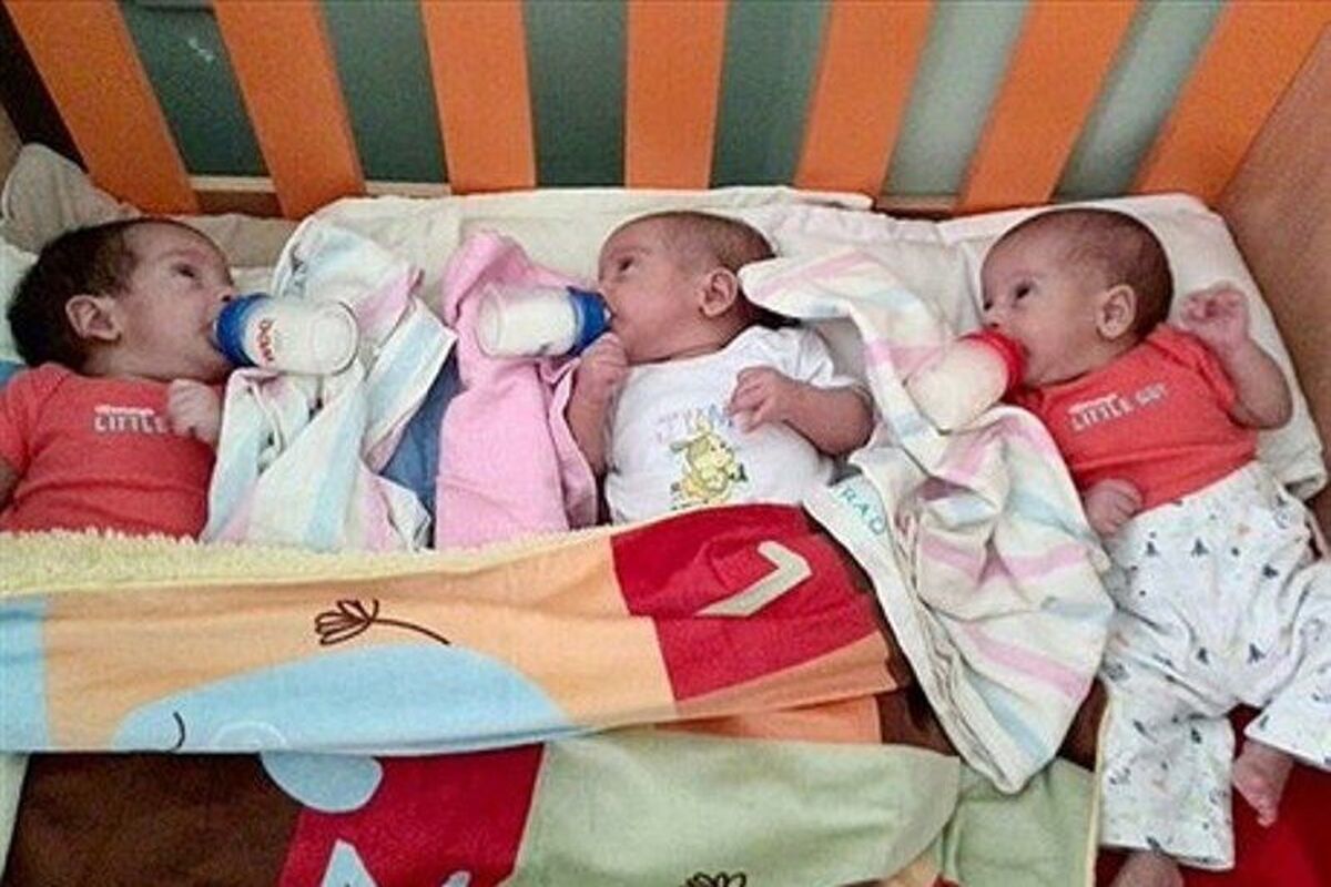 خانواده دارای فرزند 3 قلو
