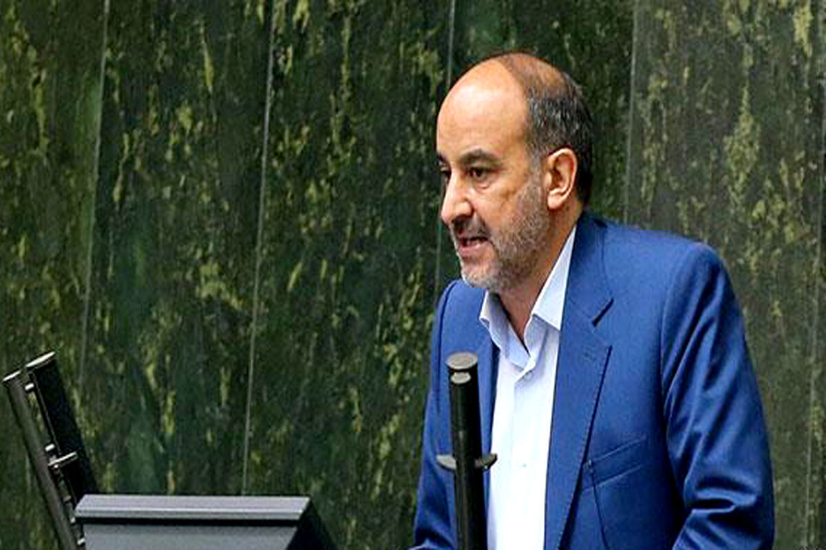 عضو کمیسیون اقتصادی مجلس