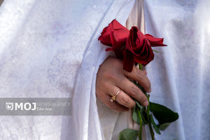 صلح و سازش خانوادگی اولویت اصلی شورای حل اختلاف استان اردبیل