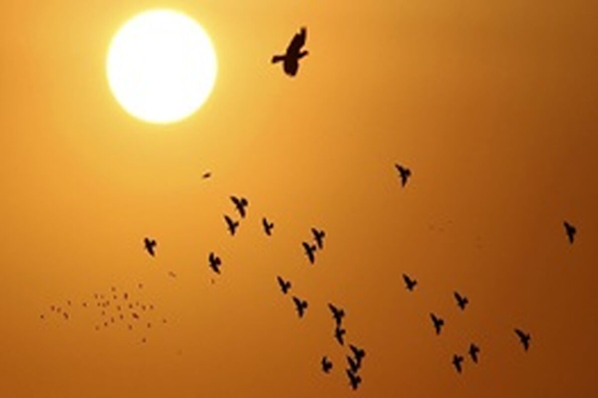 هواشناسی خوزستان